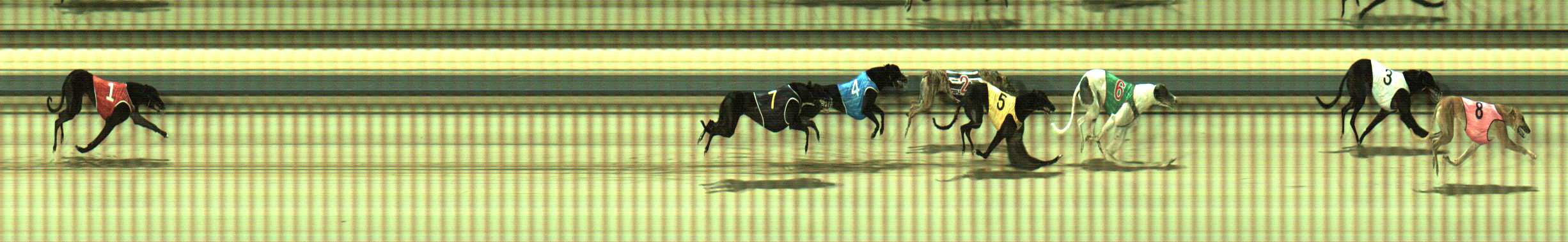 Photo finish for Sale Race 3