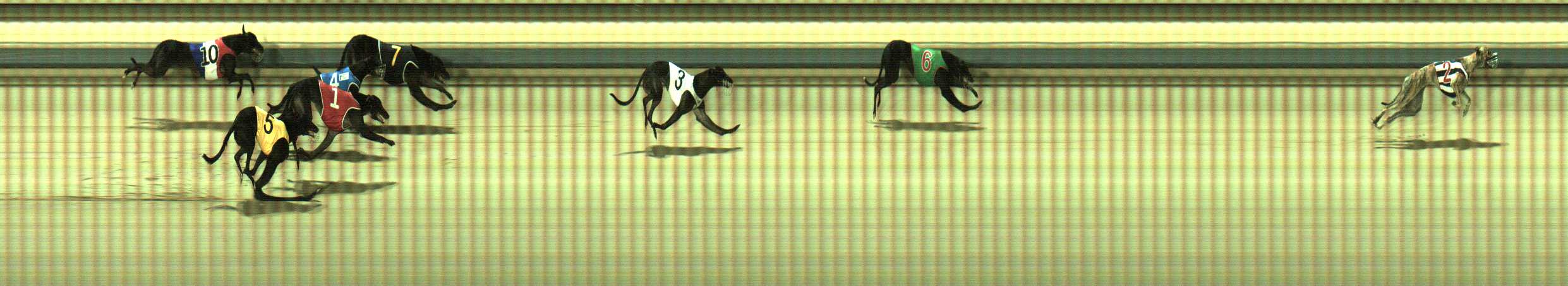 Photo finish for Sale Race 1