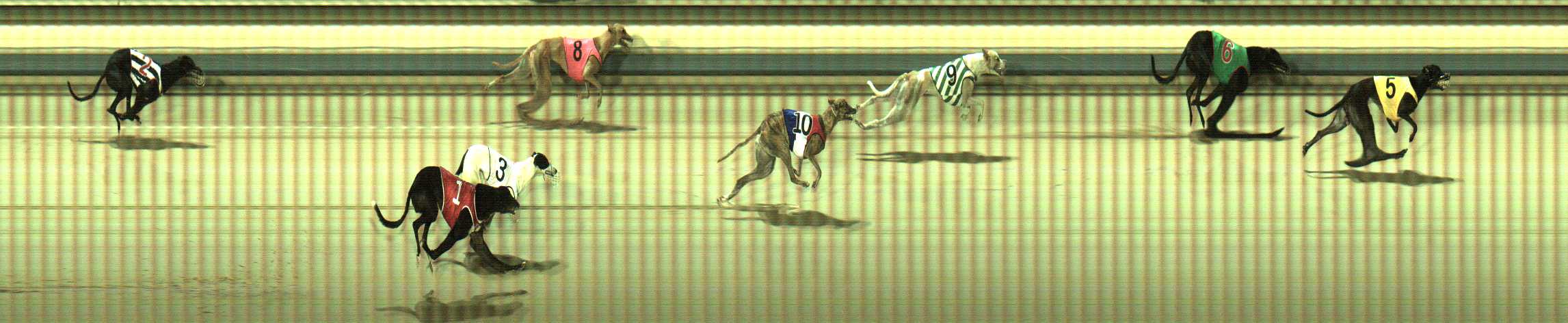 Photo finish for Sale Race 2
