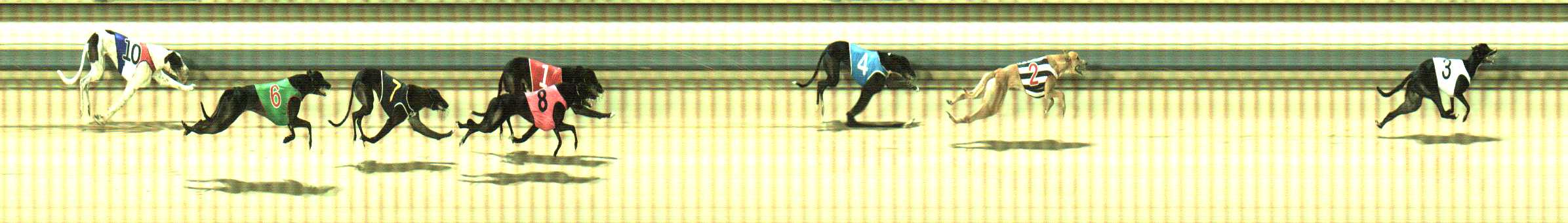Photo finish for Sale Race 3