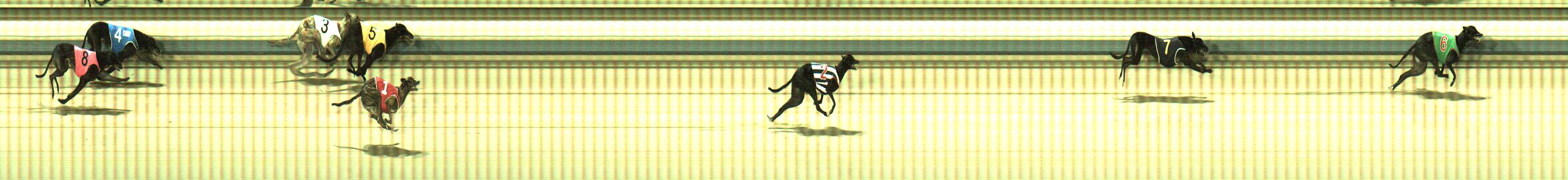Photo finish for Sale Race 4