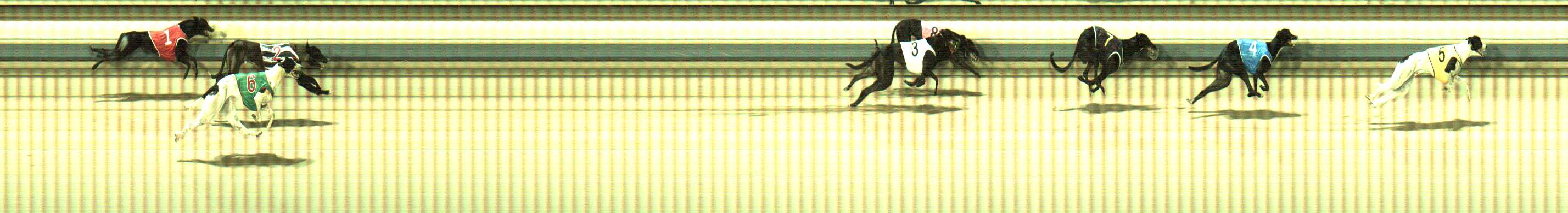 Photo finish for Sale Race 5
