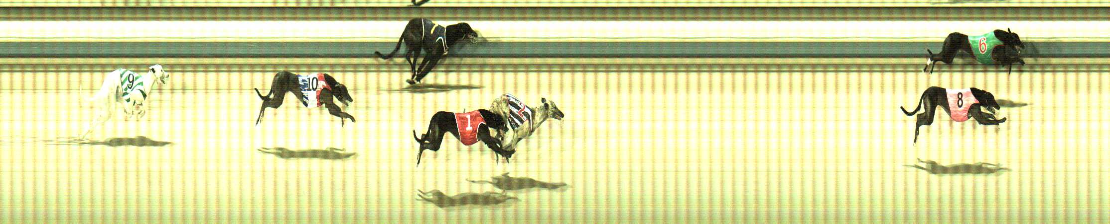 Photo finish for Sale Race 6