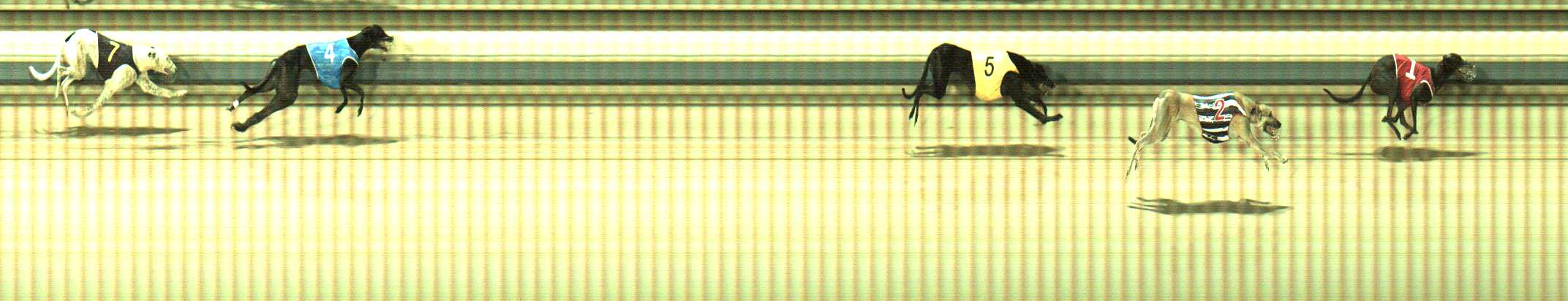 Photo finish for Sale Race 7