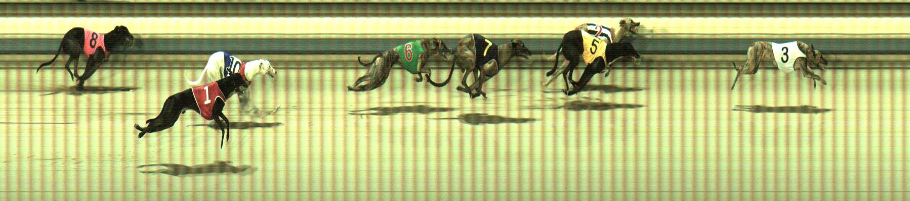 Photo finish for Sale Race 9