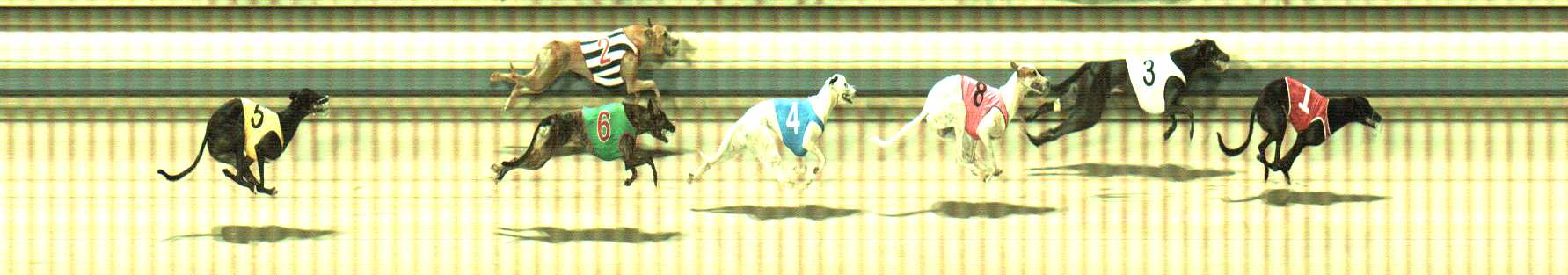 Photo finish for Sale Race 10