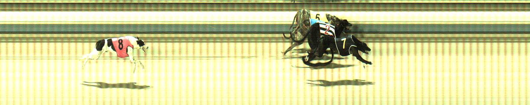 Photo finish for Sale Race 11