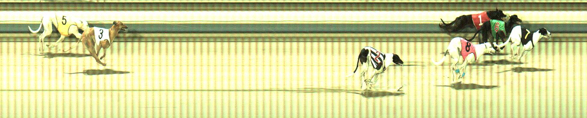 Photo finish for Sale Race 12
