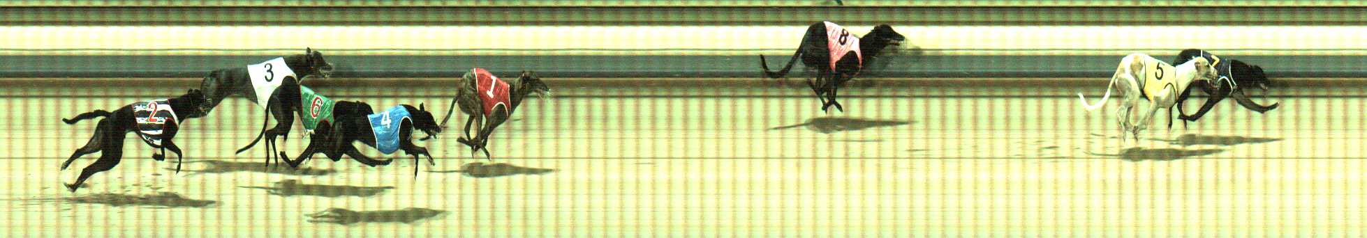 Photo finish for Sale Race 2