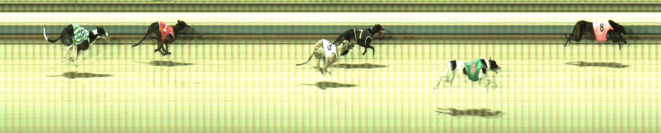 Photo finish for Sale Race 3