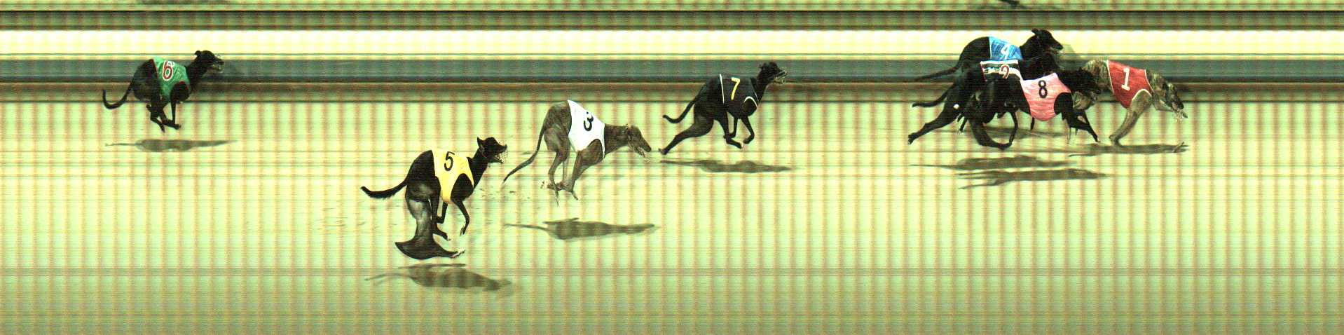 Photo finish for Sale Race 4