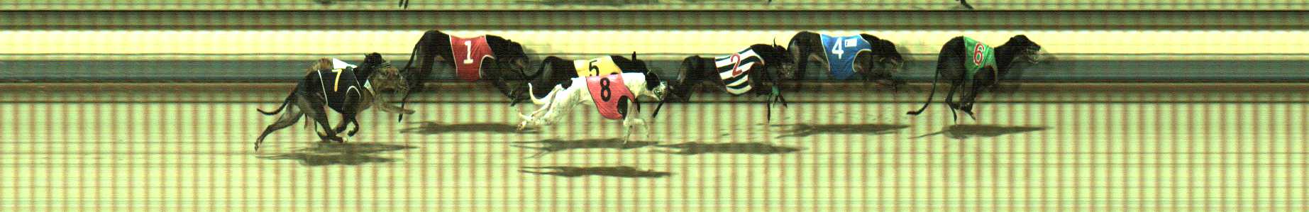 Photo finish for Sale Race 5