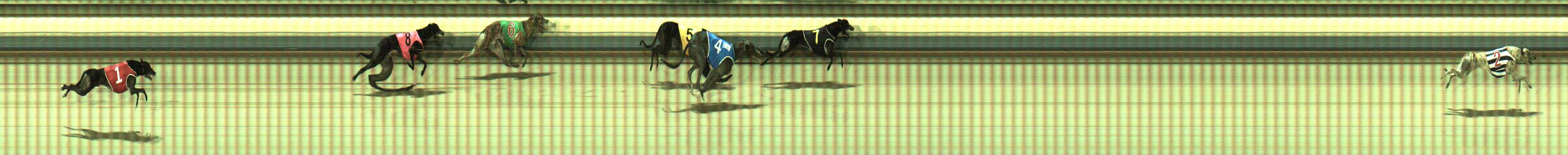 Photo finish for Sale Race 6