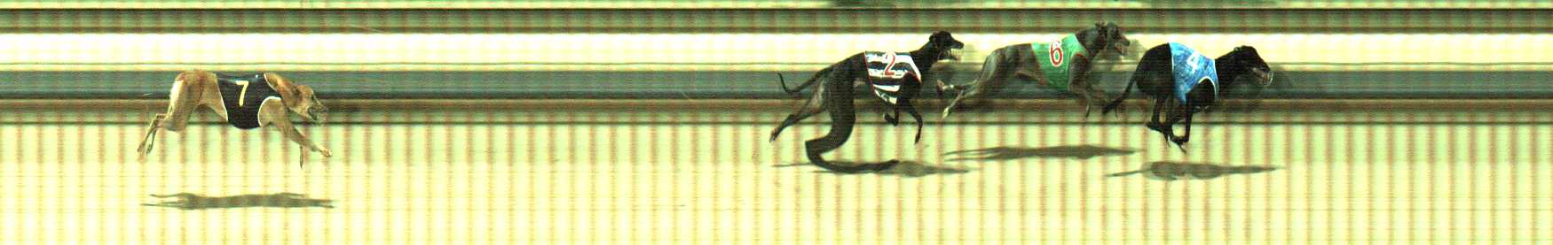 Photo finish for Sale Race 7