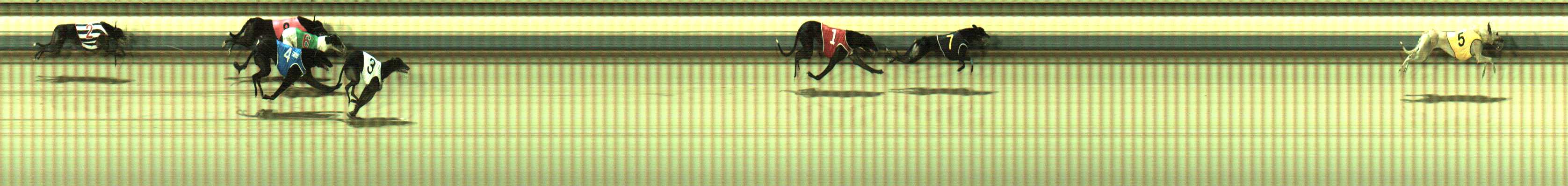Photo finish for Sale Race 9