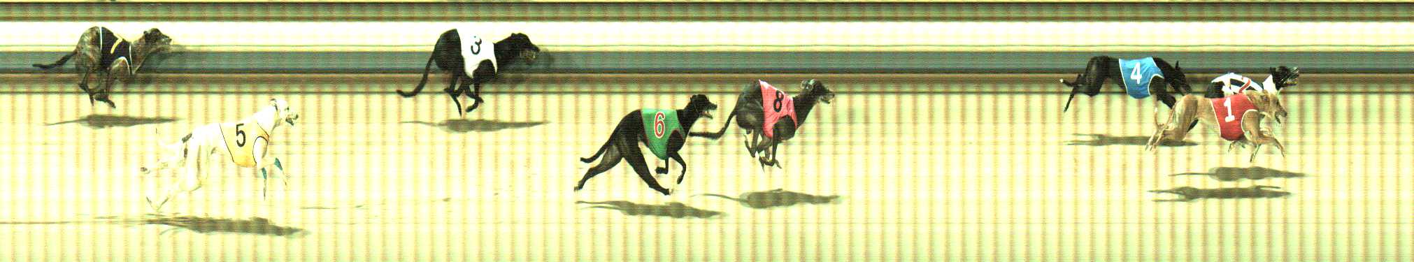 Photo finish for Sale Race 10