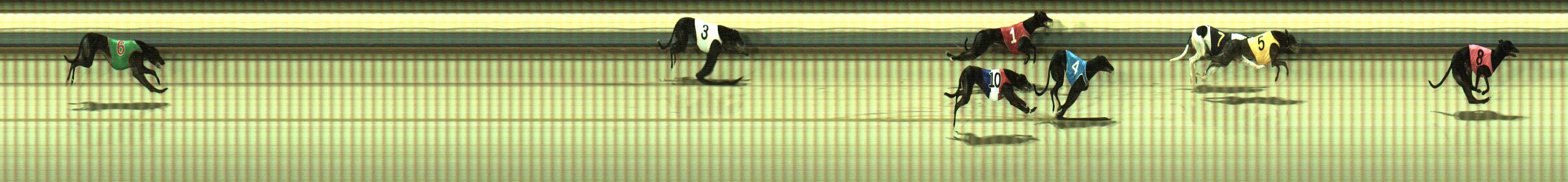 Photo finish for Sale Race 12