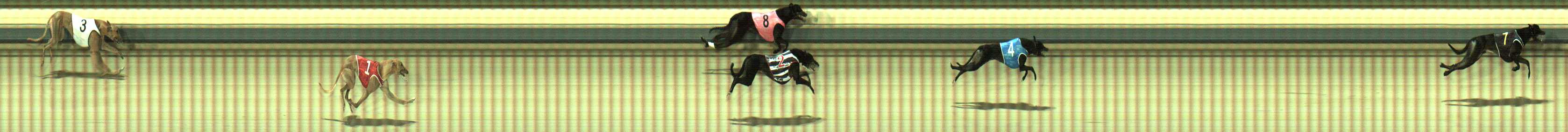 Photo finish for Sale Race 2