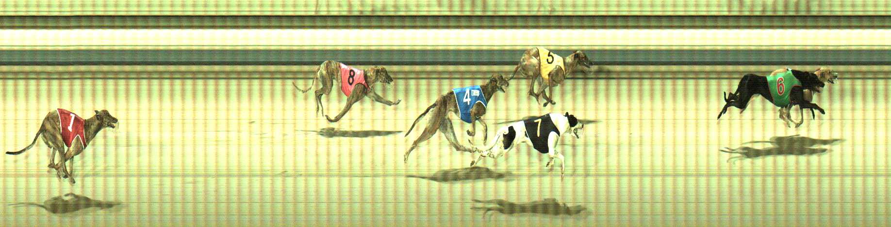 Photo finish for Sale Race 3