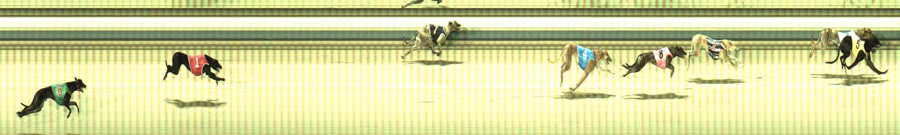 Photo finish for Sale Race 4