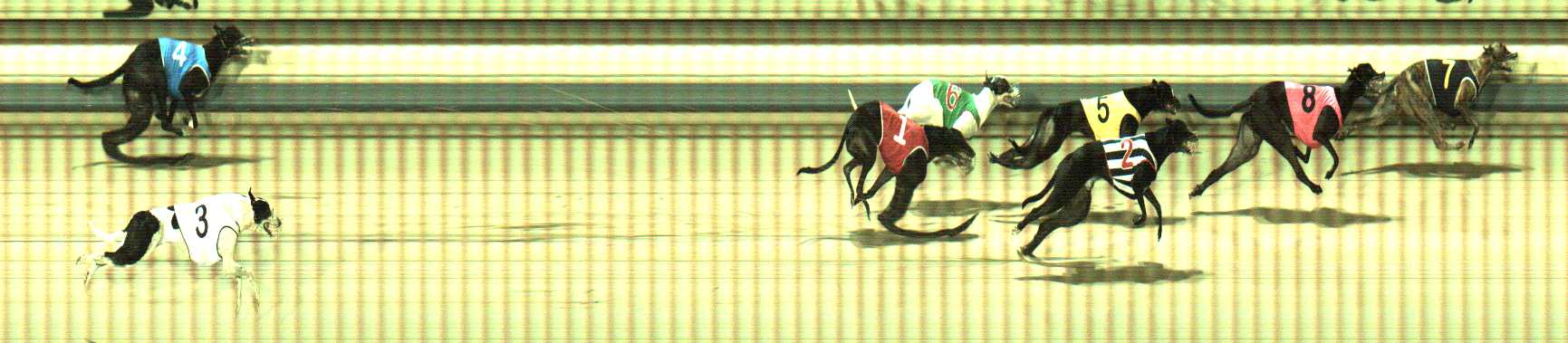 Photo finish for Sale Race 5