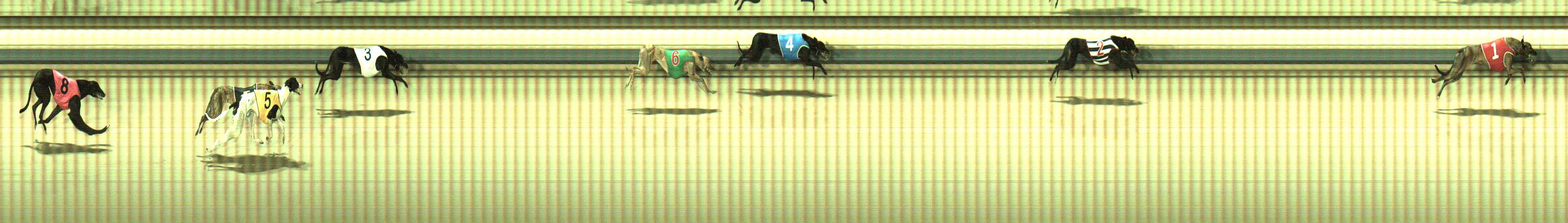 Photo finish for Sale Race 6