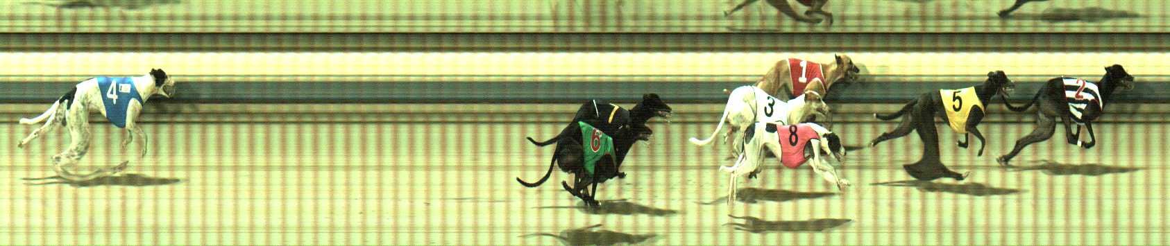 Photo finish for Sale Race 7
