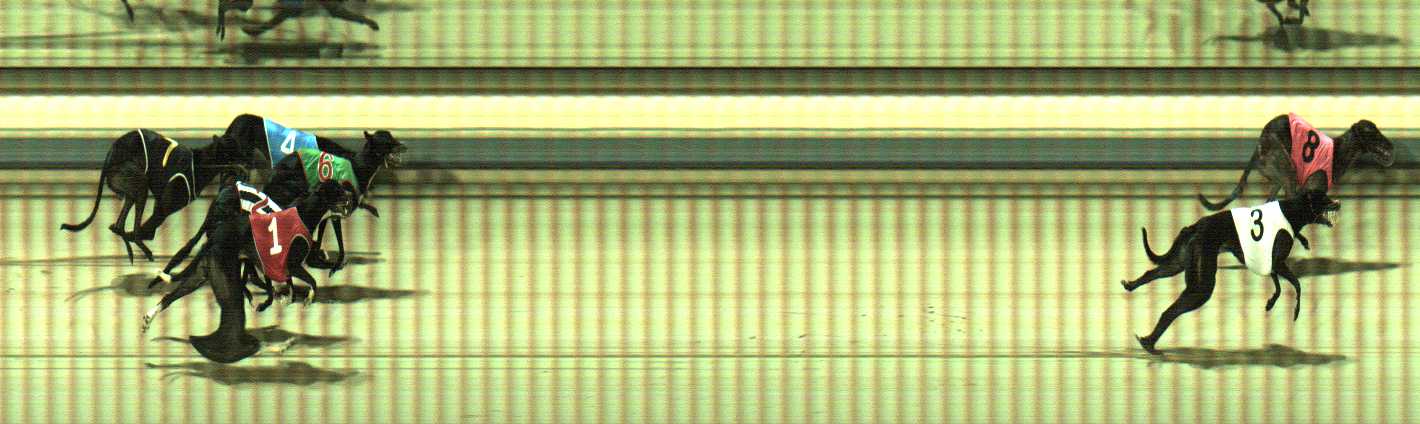 Photo finish for Sale Race 8