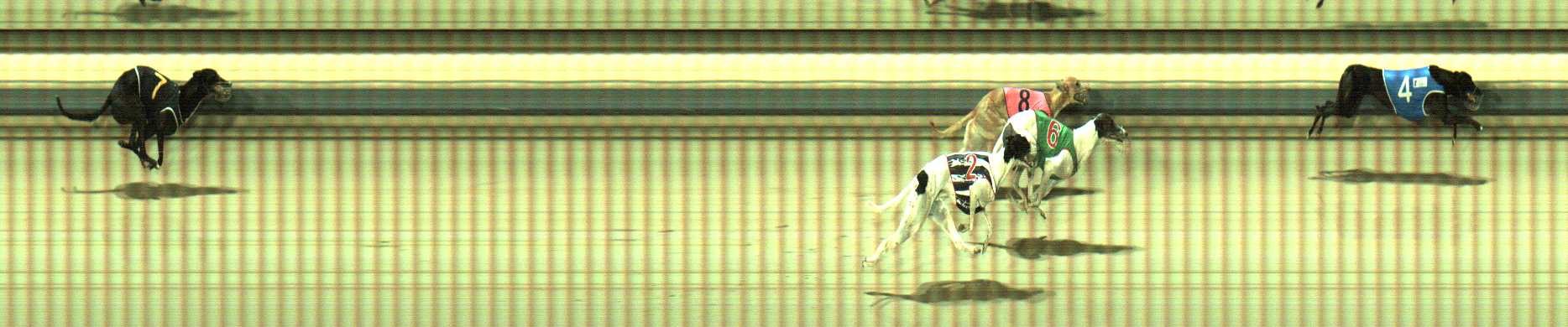 Photo finish for Sale Race 9