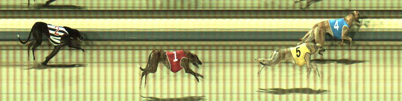 Photo finish for Sale Race 10