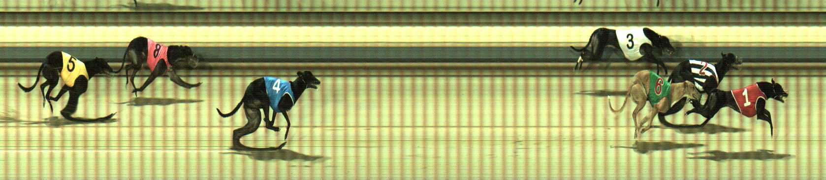 Photo finish for Sale Race 7