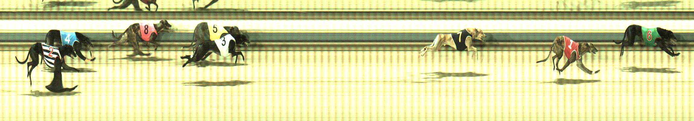 Photo finish for Sale Race 8
