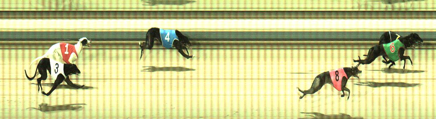 Photo finish for Sale Race 9
