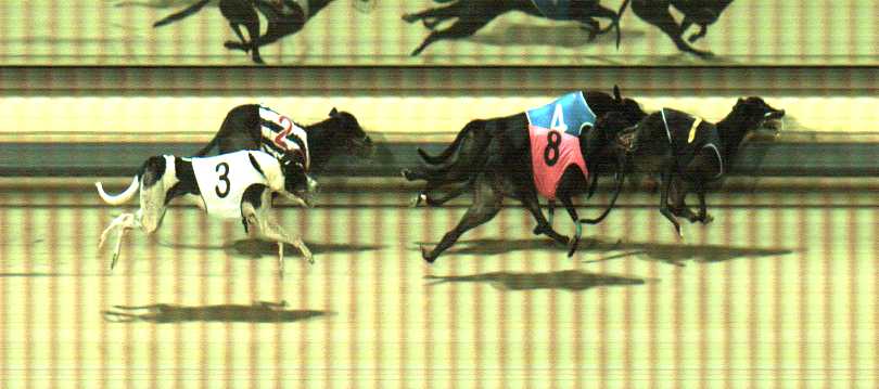 Photo finish for Sale Race 11