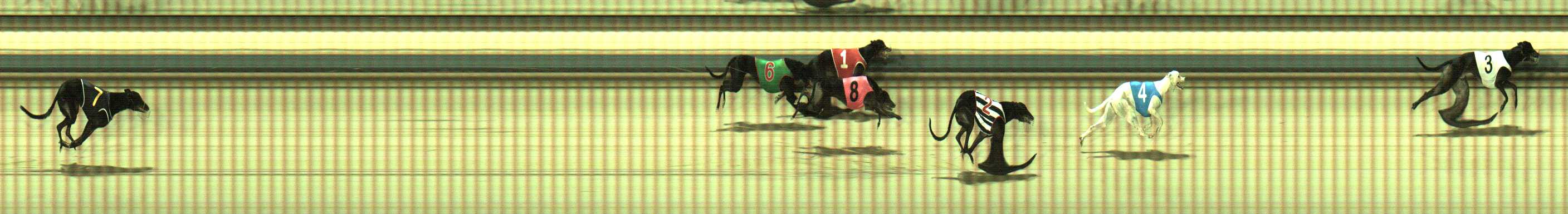 Photo finish for Sale Race 10
