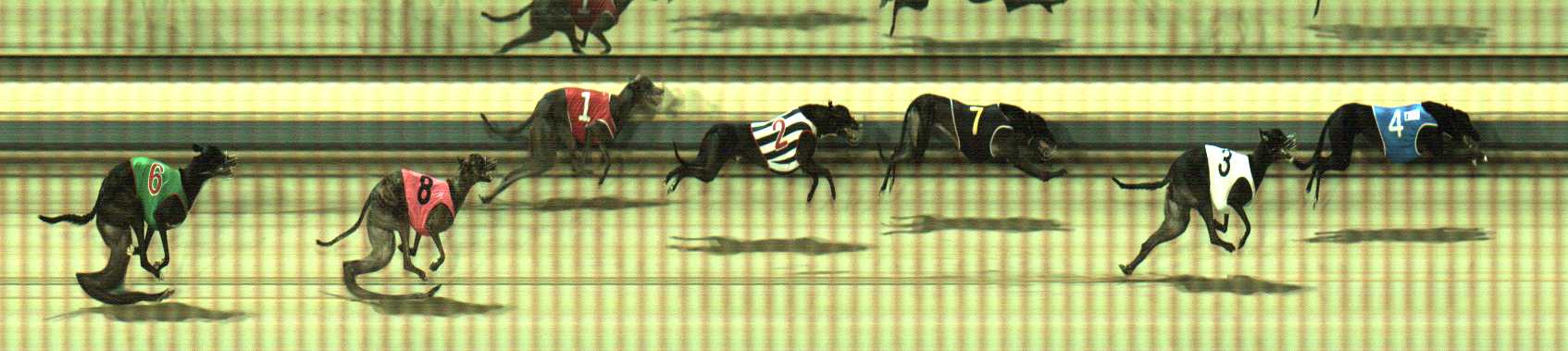 Photo finish for Sale Race 4