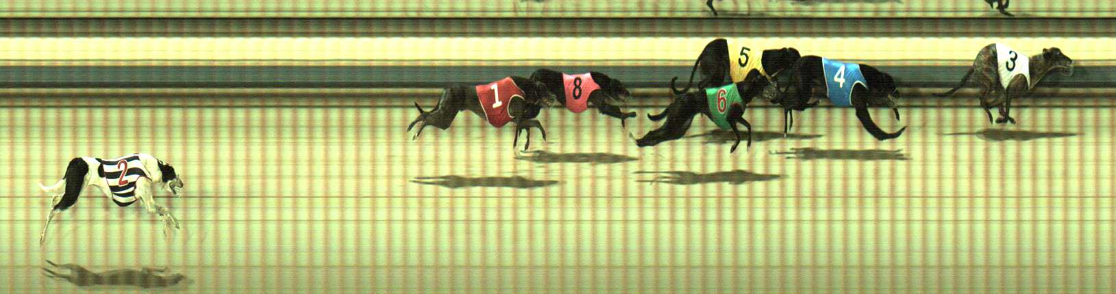 Photo finish for Sale Race 5