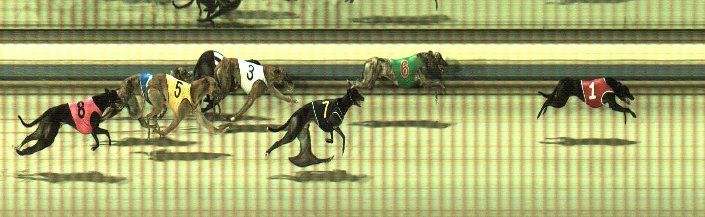 Photo finish for Sale Race 6