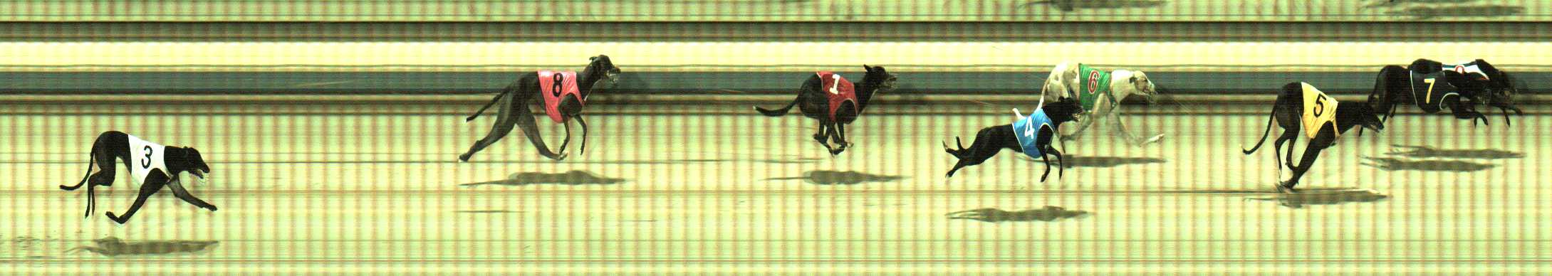 Photo finish for Sale Race 1