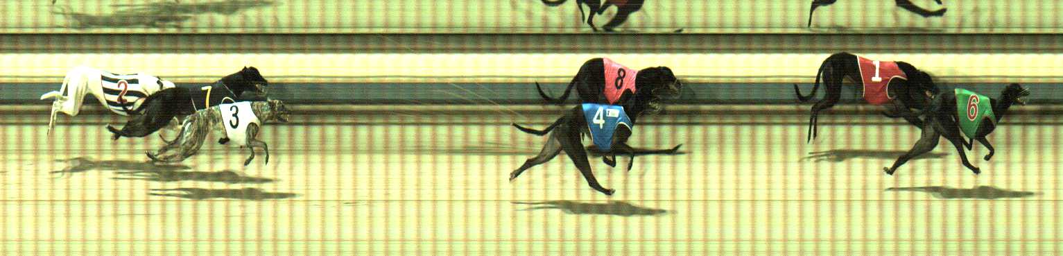 Photo finish for Sale Race 2