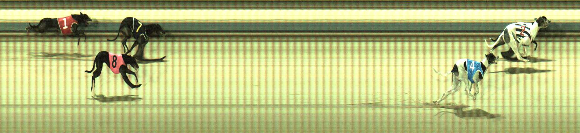 Photo finish for Sale Race 3