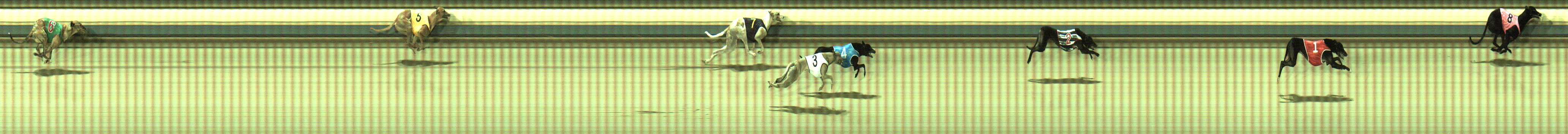 Photo finish for Sale Race 1