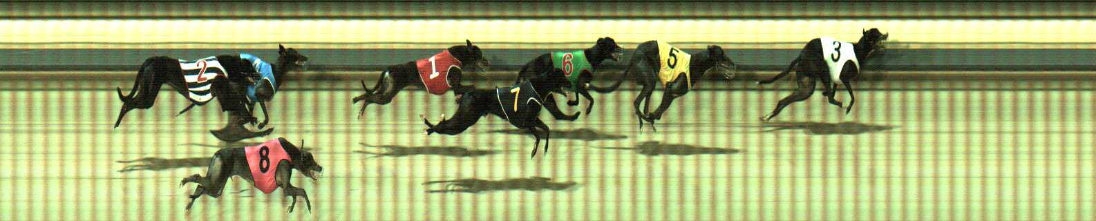 Photo finish for Sale Race 3