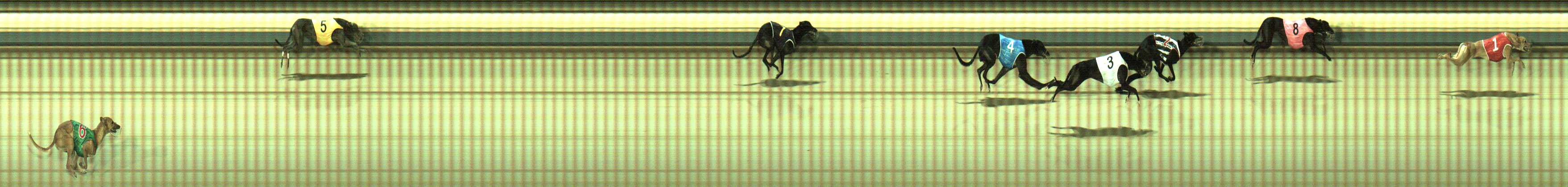 Photo finish for Sale Race 4