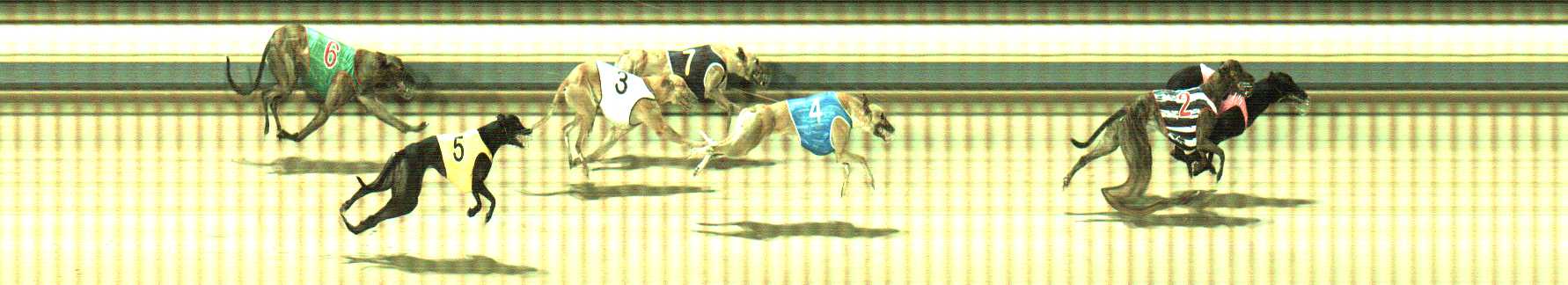 Photo finish for Sale Race 5