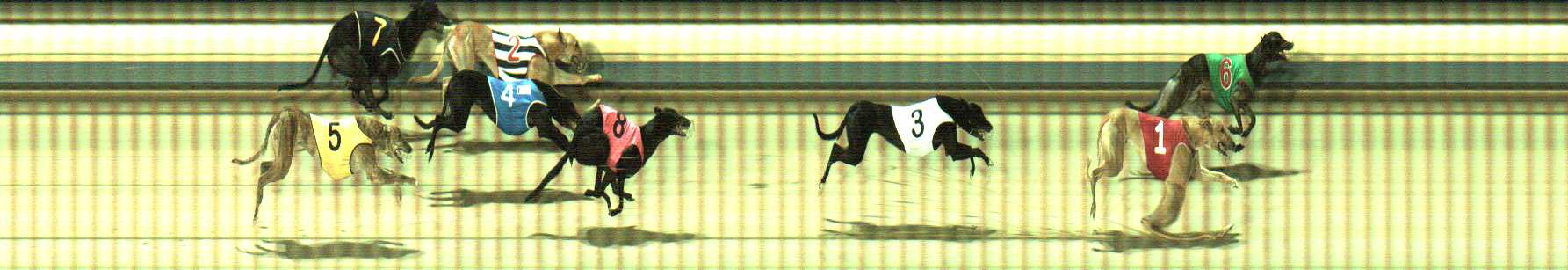 Photo finish for Sale Race 6