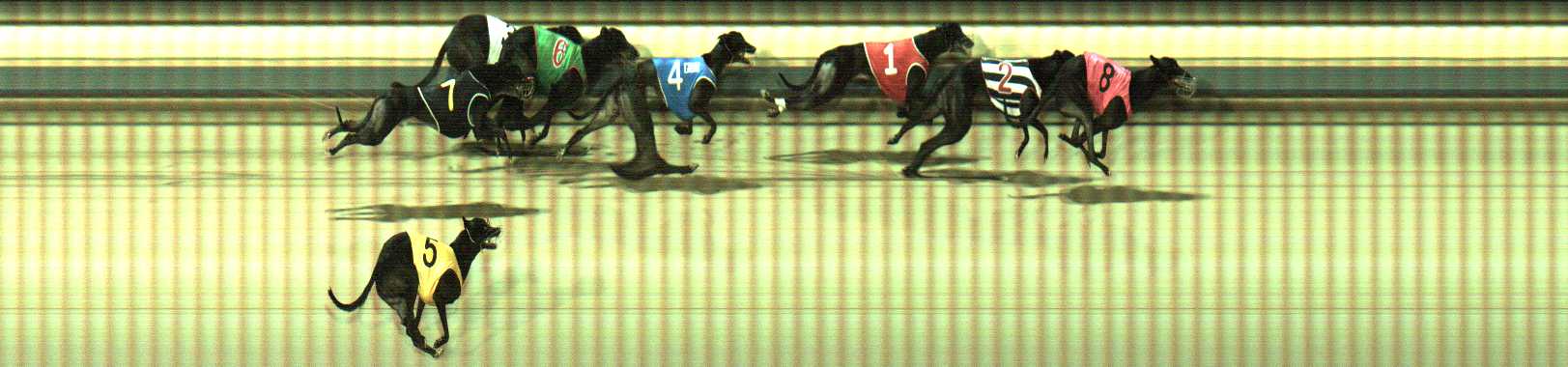 Photo finish for Sale Race 7