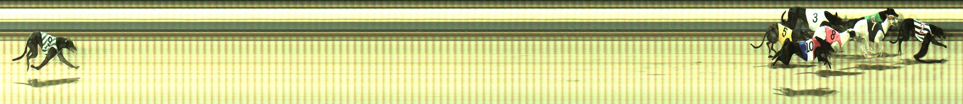 Photo finish for Sale Race 9