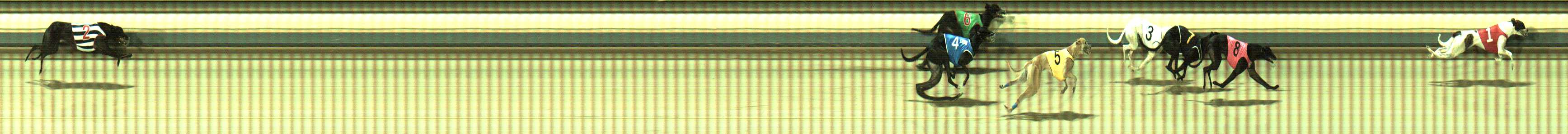 Photo finish for Sale Race 10