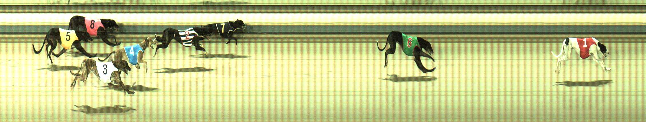 Photo finish for Sale Race 3